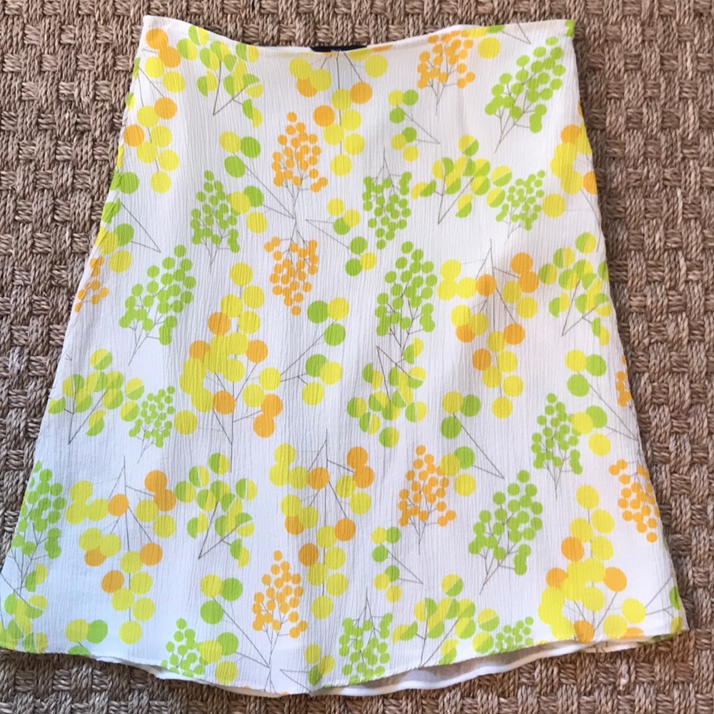 Mossimo Skirt